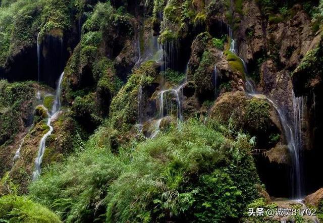 大妈入住五星酒店,谁料什么房满她要啥房,原来只是为了打个电话知识星球平台-快速获取优质知识的首选